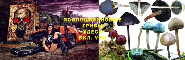 меф Ельня