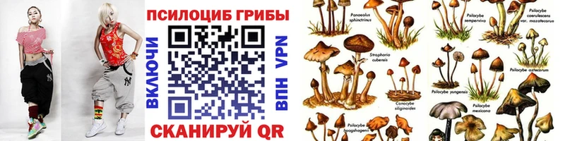 Псилоцибиновые грибы MAGIC MUSHROOMS  Купить закладки  Волхов 